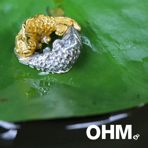 Nian Nian You Yu (2-Tone) - Limited Edition - Image 3