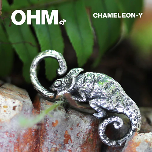 Chameleon-y - Image 3