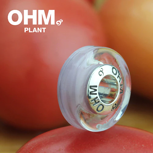 Plant (Retired) - Image 4